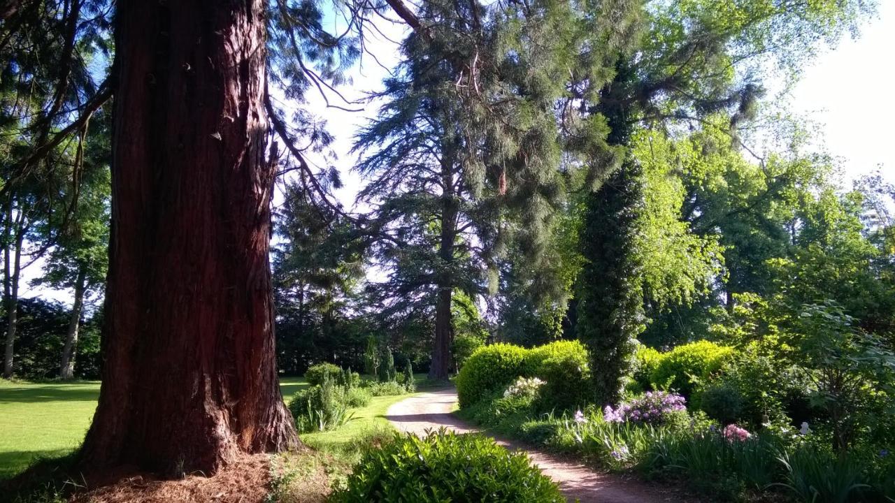 Chateau De La Vernede, La Grande Vernede Saint-Rémy-de-Chargnat Buitenkant foto