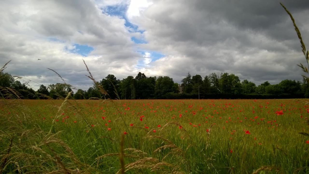 Chateau De La Vernede, La Grande Vernede Saint-Rémy-de-Chargnat Buitenkant foto