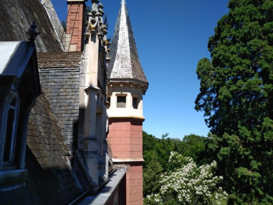 Chateau De La Vernede, La Grande Vernede Saint-Rémy-de-Chargnat Buitenkant foto